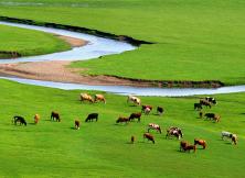 貢格爾草原 玉龍沙湖 阿斯哈圖石林 白音敖包 西拉沐淪河漂流 大青山 赤峰博物館海陸空親子五日游 貢格爾草原 玉龍沙湖 阿斯哈圖石林 白音敖包 西拉沐淪河漂流 大青山 赤峰博物館海陸空親子五日游