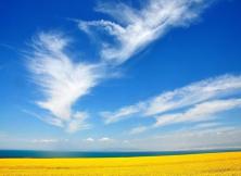 嘉華旅游---尊享金牌絲路之旅---- 蘭州、嘉峪關、敦煌、張掖、祁連、青海湖、塔爾寺雙飛6日游