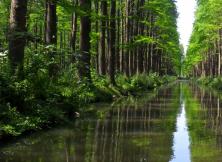 “水天堂”幸福之旅——泰州+揚州專列純玩四日游 “水天堂”幸福之旅——泰州+揚州專列純玩四日游