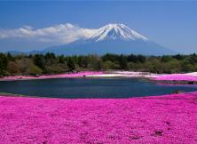 大阪 京都 富士山 東京 溫泉 雙飛6日游