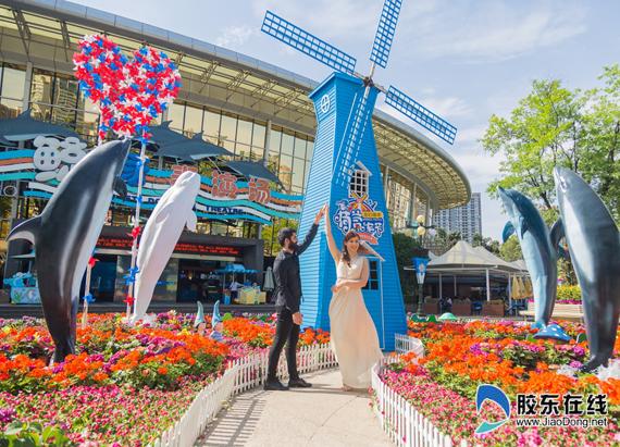 海昌“海洋花卉節(jié)”全國啟幕 春暖花開和海洋有個約會