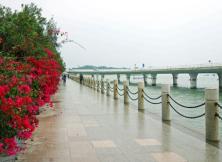 隨享廈門系列.半自助游雙飛四日 隨享廈門系列.半自助游雙飛四日