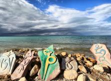 【青藏】相約花海11日/13日游 【青藏】相約花海11日/13日游