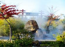 【冬季溫泉】文登湯泊溫泉一日游