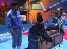 交運研學 | 鯨鯊館、南山救援、匠心少年手工課、無人機科普體驗,總有一項是你想要的! 交運研學 | 鯨鯊館、南山救援、匠心少年手工課、無人機科普體驗,總有一項是你想要的!