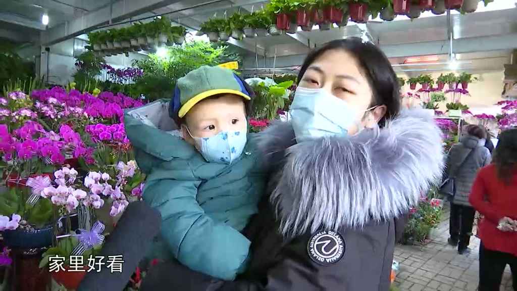 春節臨近鮮花俏   花卉市場迎旺季