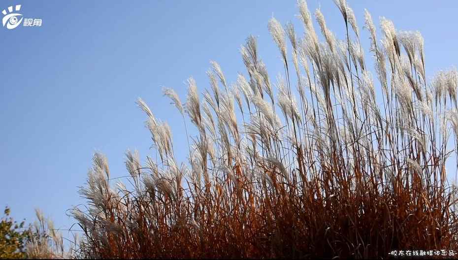 煙臺印象·初冬∶冬日的暖陽 溫暖入心 煙臺印象·初冬∶冬日的暖陽 溫暖入心