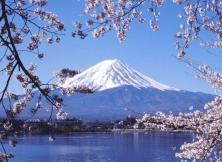 日本本州全景6日游 煙臺起止 獨立成團