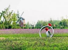 沁楠香休閑島戶外拓展體驗二日游 沁楠香休閑島戶外拓展體驗二日游