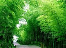 【中秋假期】無極鬼谷、日照竹洞天、東夷小鎮二日游