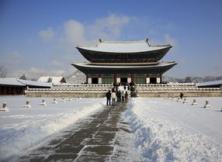 韓國雙飛四日半自由行