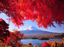 嘉華旅游開業大促---日本本州六日（東航）