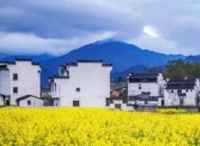 三清山、婺源、廬山、景德鎮、  南昌雙飛五日