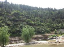 {6月}成都熊貓基地+峨眉半山+金頂+樂山大佛+都江堰