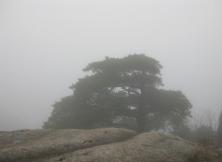 【20年春節(jié)】廬山+三清山+婺源+滕王閣雙飛五日游 【20年春節(jié)】廬山+三清山+婺源+滕王閣雙飛五日游