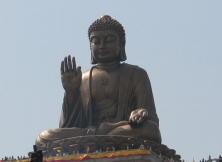 五一特價：龍口南山純玩一日游