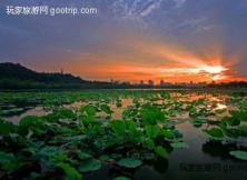 西塘、烏鎮(zhèn)、杭州大巴周末純玩游 西塘、烏鎮(zhèn)、杭州大巴周末純玩游