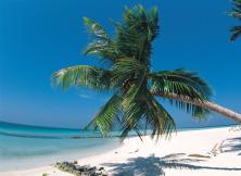 3月:純海玩家海南雙飛6日游 3月:純海玩家海南雙飛6日游