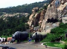 十一：威海野生動(dòng)物園一日游