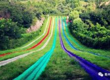 竹泉村 地下畫廊 雪山彩虹谷 采茶親子純玩二日游 竹泉村 地下畫廊 雪山彩虹谷 采茶親子純玩二日游