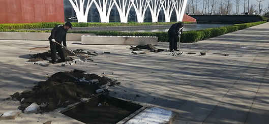 萊山綜合行政執(zhí)法局開展植物園景區(qū)環(huán)境衛(wèi)生整治活動(dòng)