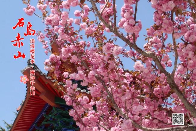 微信圖片_20190422175429