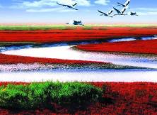 【十一】紅海灘雙船五日游