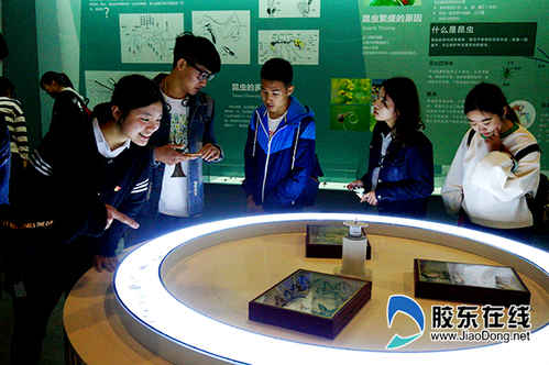 煙臺大學志愿者參觀森林文化博物館1