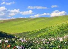 【包機】赤峰貢格爾草原親子五日游