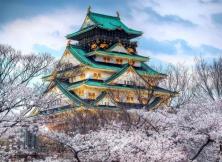 【5月游日本】日本東京、箱根、奈良、大阪、神戶、本州+九州全景六日游 【5月游日本】日本東京、箱根、奈良、大阪、神戶、本州+九州全景六日游