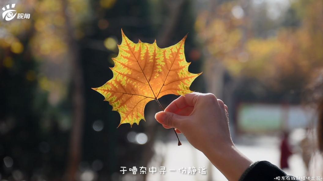 360截圖20191119084402194