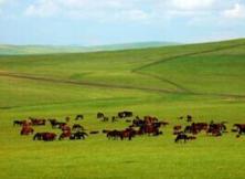 呼倫貝爾大草原、室韋、額爾古納、莫爾道嘎、滿洲里五日游
