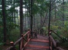 蒙山、竹泉村、地下畫廊2日游 蒙山、竹泉村、地下畫廊2日游