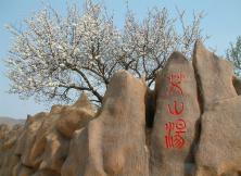 【春節假期】棲霞艾山溫泉一日游 【春節假期】棲霞艾山溫泉一日游