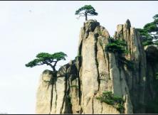 【9月游黃山】九華山+大美黃山+第一秀水千島湖+桃花源里西遞、山水九華純玩雙飛六日游 【9月游黃山】九華山+大美黃山+第一秀水千島湖+桃花源里西遞、山水九華純玩雙飛六日游