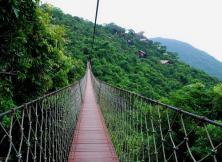HI海島雨林5天4晚 浪漫之旅  專為愛海的人量身定制