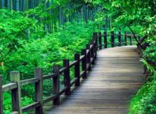 【春節假期】上海夜景、杭州宋城千古情、水鄉烏鎮、周莊、南山竹海、無錫黿頭渚四大夜景二大演出夜艷江南雙飛五/六日游