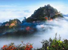 【三月游武當山】武漢黃鶴樓、夜游襄陽古城 、深度游玩武當山、武漢大學賞櫻花雙飛五日游