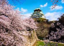 6月3、12、17日 漫享本州雙古都雙溫泉6日游（阪靜）