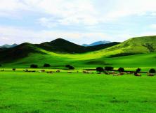 【暑假游草原】河北皇家承德避暑山莊、木蘭圍場、穿越塞罕壩、國家1號(hào)風(fēng)景大道、塞外明珠烏蘭布統(tǒng)大草原+古北水鎮(zhèn)+草原民俗項(xiàng)目雙動(dòng)五日游 【暑假游草原】河北皇家承德避暑山莊、木蘭圍場、穿越塞罕壩、國家1號(hào)風(fēng)景大道、塞外明珠烏蘭布統(tǒng)大草原+古北水鎮(zhèn)+草原民俗項(xiàng)目雙動(dòng)五日游