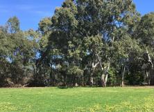 云臺山、深度豪標三日游(挑戰云臺山玻璃棧道) 云臺山、深度豪標三日游(挑戰云臺山玻璃棧道)