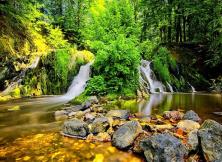 花海尋蹤 百花彩谷與您相約!山東半島最大花海蓬萊艾山華美綻放 花海尋蹤 百花彩谷與您相約!山東半島最大花海蓬萊艾山華美綻放