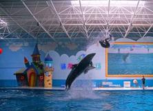 【2021端午假期】蓬萊海底世界純玩一日游 【2021端午假期】蓬萊海底世界純玩一日游