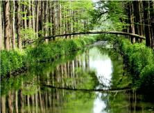 【國慶假期】品泰州早茶,游瘦西湖美景,賞水上森林氧吧,逛濕地公園大巴三日游. 【國慶假期】品泰州早茶,游瘦西湖美景,賞水上森林氧吧,逛濕地公園大巴三日游.