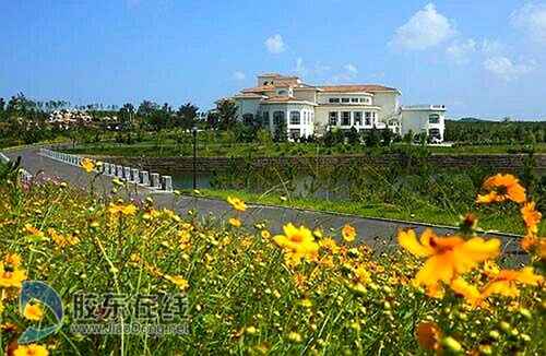 煙臺鄉(xiāng)村游恰逢其時(shí) 踏青賞花休閑醉游人(組圖)
