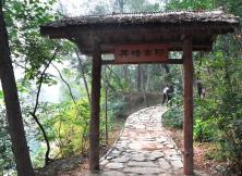 【三月賞花】青州古城·井塘古村·黃花溪天緣谷純玩二日游