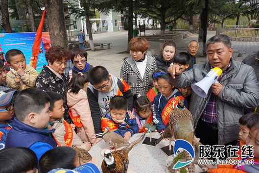 珍稀的野生鳥類標本吸引大家駐足圍觀