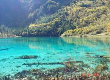 重慶?九寨溝?黃龍?草原雙飛雙動(dòng)七日