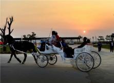 研學旅行|6月23日蓬萊和圣馬場約你一起策馬奔騰！