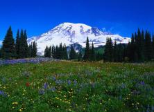 嘉華旅游----在云端—昆明、大理、麗江、雙飛單臥6日游